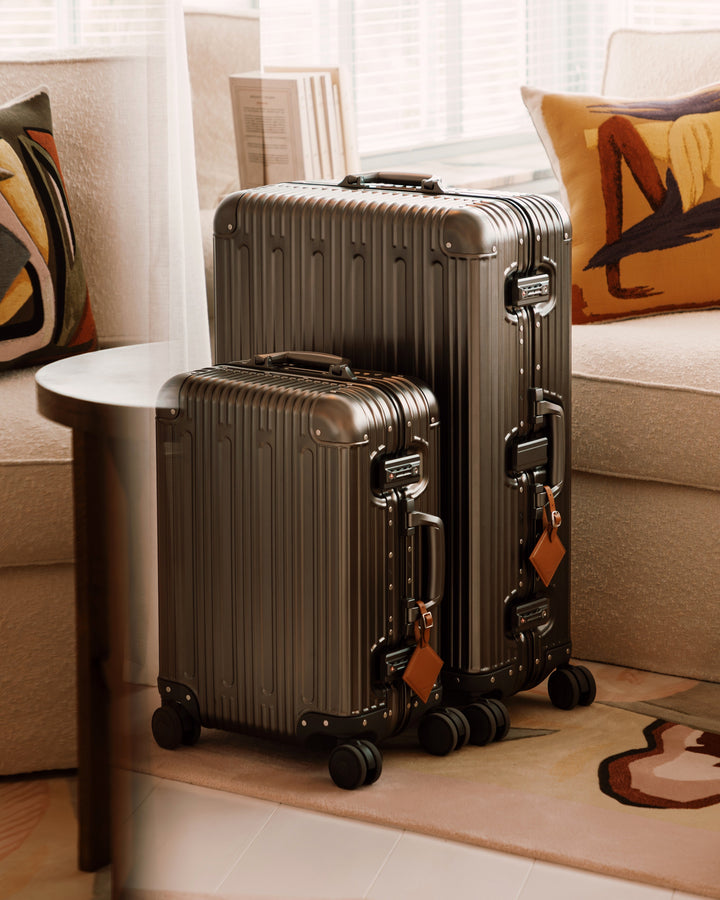 Two PREZOR suitcases in Metallic Grey in a living room